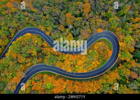 Vue aérienne au-dessus d'une route sinueuse vide / virage en épingle à cheveux / virage en épingle à cheveux traversant la forêt montrant les couleurs de l'automne Banque D'Images