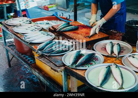 Une femme dans un tablier bleu préparant des fruits de mer assortis sur une table en bois. Banque D'Images