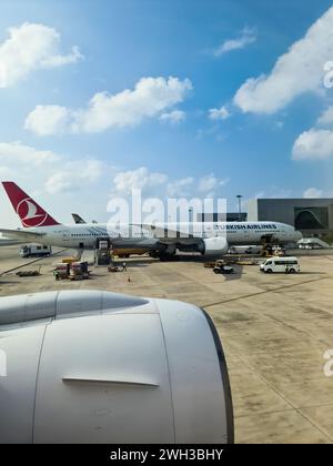 Masculin, Maldives - 02. Février 2024 : un avion de Turkish Airlines à l'aéroport de Malé aux Maldives Banque D'Images