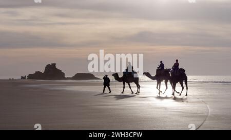 Les cavaliers de chameau sur une plage de sable le soir à côté d'un éperon rocheux tandis que la lumière brumeuse brille à travers les nuages à Essaouira, au Maroc. 7 février 2024 Banque D'Images