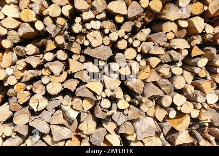 beaucoup de bûches de bois séchées dans le hangar à bois prêt à être utilisé pour chauffer la maison Banque D'Images