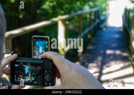 Deux personnes photographiant un sentier naturel avec un appareil photo et un téléphone dans le style Picture-in-Picture sur le sentier de la nature de Zagare, Lituanie Banque D'Images