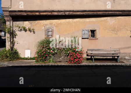 Mittelbergheim, France - 09 10 2020 : vignoble alsacien. Gros plan d'un mur avec deux petites fenêtres et volet en bois, un banc et un parterre de fleurs Banque D'Images