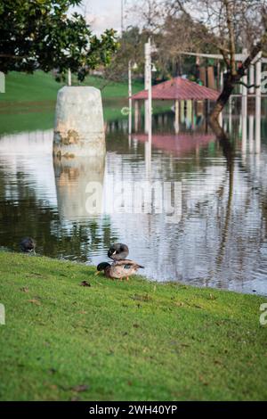 Terrain de jeu inférieur et grand étang au parc Polliwog inondé par la pluie à Manhattan Beach, CA Banque D'Images