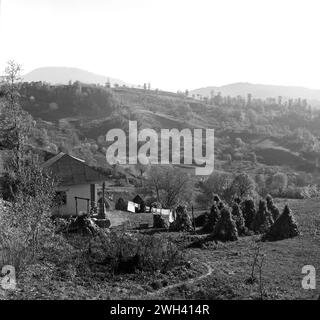 Comté de Vrancea, Roumanie, approx. 1975. Vue d'une propriété rurale dans une vallée. Serviettes cousues à la main qui sèchent dans la cour. Les poêles de maïs empilées sèchent au soleil, pour être utilisées plus tard comme aliments pour le bétail. Banque D'Images