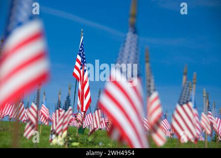 Drapeaux du Memorial Day sur les tombes, Willamette National Cemetery, Portland, Oregon Banque D'Images