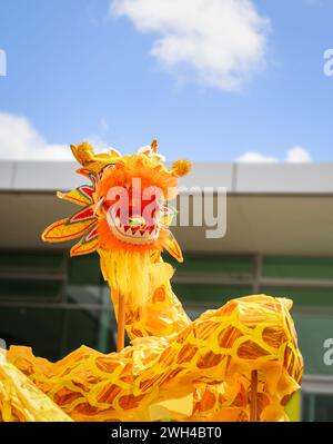 Dragon avec perle dorée dans la bouche. Perle avec le reflet de la foule regardant Dragon Dance lors de la célébration du nouvel an chinois. Banque D'Images