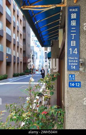 Petite rue arrière à Gina, Tokyo, Japon Banque D'Images