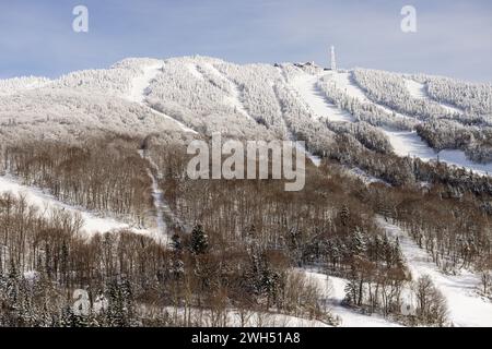 Pentes de ski immaculées du Mont Tremblant et pins enneigés : un havre d'hiver pour les skieurs et les snowboarders. Sommet de montagne. Laurentides, Québec Banque D'Images