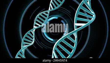 Image de brins d'adn tournant avec traitement des données sur fond noir Banque D'Images