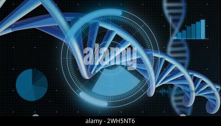 Image de brins d'adn tournant avec traitement des données sur fond noir Banque D'Images