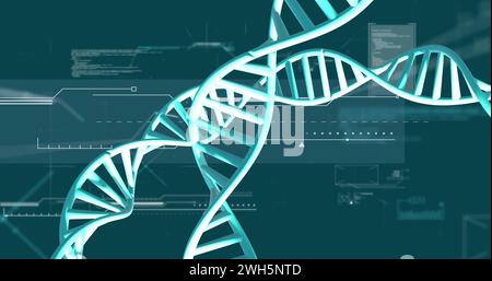 Image de brins d'adn tournant avec traitement des données sur fond vert Banque D'Images