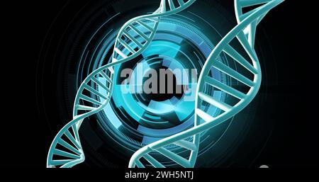 Image de brins d'adn tournant avec traitement des données sur fond noir Banque D'Images