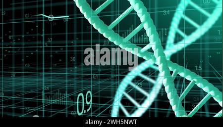 Image de brins d'adn tournant avec traitement des données sur fond noir Banque D'Images