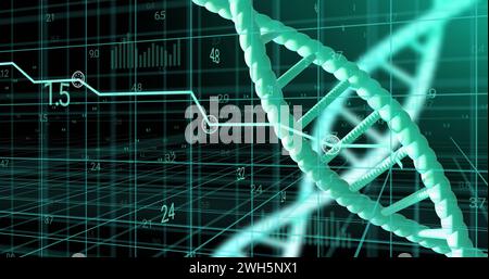 Image de brins d'adn tournant avec traitement des données sur fond noir Banque D'Images