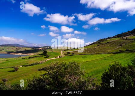 Paysage du nord de la Tunisie - région de Sejnene - Tunisie Banque D'Images