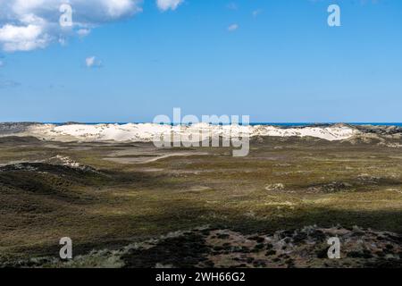 Les dunes de sable sur l'île de Sylt, mer Baltique, Allemagne Banque D'Images