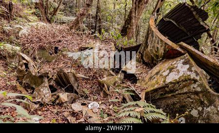 L'épave d'un petit avion de passagers écrasé. l'avion tomba au sol. Banque D'Images
