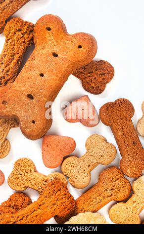 sélection de biscuits croquants pour chien sur blanc avec espace de copie Banque D'Images