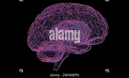Cerveau holographique 3D avec différentes couleurs et une image intrigante, créant une représentation visuelle captivante et dynamique. Banque D'Images