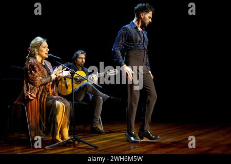 « Artiste flamenco dansant passionnément sur scène, avec chanteurs et guitaristes en arrière-plan. » Banque D'Images