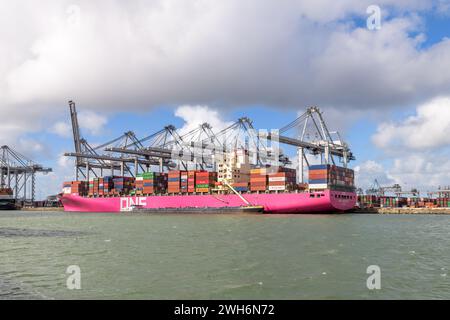 MAASVLAKTE, ROTTERDAM, PAYS-BAS - 17 MARS 2019 : le Containership One Continuity est amarré au terminal Delta à Maasvlakte, Port of Banque D'Images