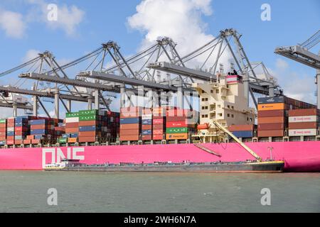 MAASVLAKTE, ROTTERDAM, PAYS-BAS - 17 MARS 2019 : le Containership One Continuity est amarré au terminal Delta à Maasvlakte, Port of Banque D'Images