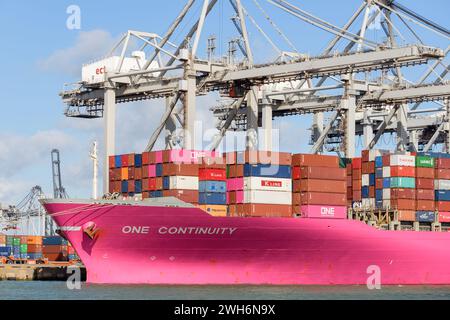 MAASVLAKTE, ROTTERDAM, PAYS-BAS - 17 MARS 2019 : le Containership One Continuity est amarré au terminal Delta à Maasvlakte, Port of Banque D'Images