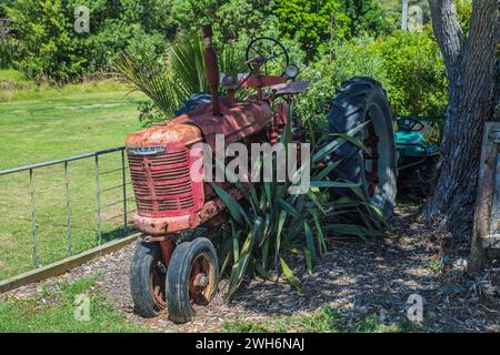 Un vieux tracteur rouge rouillé International Harvester Farmall vers 1950 abandonné dans un jardin Banque D'Images