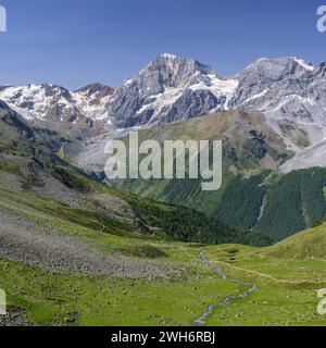 Les Alpes Ortler près de Sulden Tyrol du Sud, Italie par une journée ensoleillée en été Ortler, Koenigspitze, Gran Zebru Stilfs Italie Banque D'Images