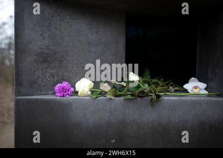 Gedenken Denkmal Nationalsozialismus verfolgte Homosexuellen Deu, Deutschland, Allemagne, Berlin, 31.01.2024 Blumen am Fenster vom Denkmal fuer die im Nationalsozialismus verfolgten Homosexuellen . Architekten : Michael Elmgreen und Ingar Dragset , BEI der Gedenkveranstaltung in Berlin Deutschland . In Gedenken am Jahrestag der Befreiung von Auschwitz am 27. Januar an die ermordeten Schwulen und Lesben . DAS Denkmal erinnert an die Zehntausenden die von den Nazis verfolgt wurden. Die Gedenkstaette steht im Tiergarten in unmittelbarer Nähe des Holocaust-Mahnmals. Gedenkfeier zum Jahrestag. fr : Flo Banque D'Images