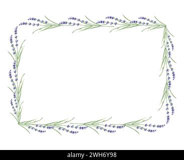 Cadre horizontal aquarelle de fleurs de lavande violettes avec des feuilles entrelacées vertes. Modèle à partir d'herbes de la nature avec espace de copie. Tirage isolé à la main Banque D'Images
