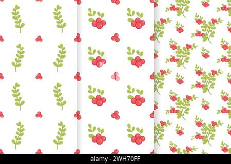 Ensemble de trois motifs floraux sans couture vectoriels sur des fonds blancs. Fleurs, baies et feuilles. Pour les tissus, le papier peint, les couvertures, le fond, l'emballage Illustration de Vecteur