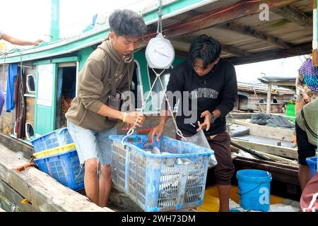 Lampung, Indonésie, 07 octobre 2022 : des pêcheurs ou des membres d'équipage pèsent du poisson dans un panier qui vient d'être capturé sur un bateau Banque D'Images