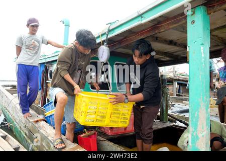 Lampung, Indonésie, 07 octobre 2022 : des pêcheurs ou des membres d'équipage pèsent du poisson dans un panier qui vient d'être capturé sur un bateau Banque D'Images