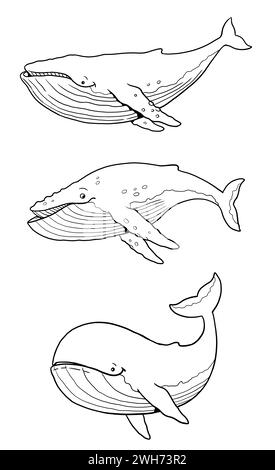 Set avec trois baleines drôles à colorer. Modèle pour un livre de coloriage avec des animaux drôles. Modèle de coloriage pour les enfants. Banque D'Images