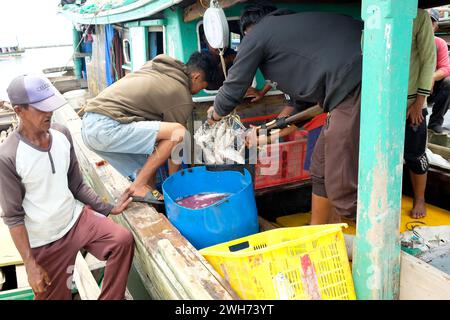 Lampung, Indonésie, 07 octobre 2022 : des hommes indonésiens trient le poisson dans un panier sur un bateau de pêche à Lampung, Indonésie. Banque D'Images