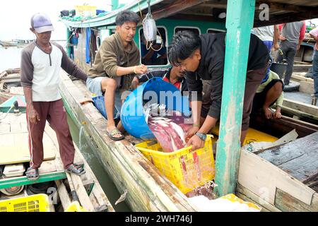 Lampung, Indonésie, 07 octobre 2022 : des hommes indonésiens trient le poisson dans un panier sur un bateau de pêche à Lampung, Indonésie. Banque D'Images