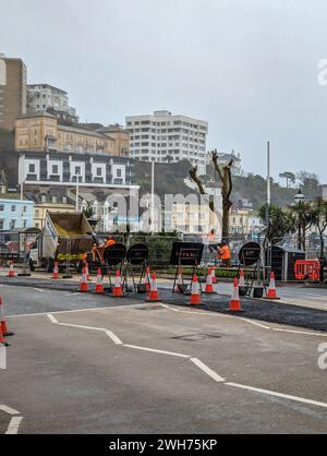 Torquay, Royaume-Uni. 8 février 2024. Les travailleurs du conseil ont abattu des arbres le long du port de Torquay. Une partie d'une transformation de plusieurs millions de livres pour la région. Crédit : Thomas Faull/Alamy Live News Banque D'Images