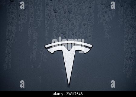 Tesla-logo auf regennasser, schwarzer Motorhaube 08.02.24, Limbourg : Symbolfoto, Illustrationsbild, Symbolbild, Illustrationsfoto Tesla-logo auf regennasser, schwarzer Motorhaube Ein detailliertes Bild zeigt das glänzende Tesla-logo in der Mitte einer schwarzen, regennassen Motorhaube. Die Wassertropfen auf der Oberfläche fangen das Licht ein und betonen die Eleganz und Sauberkeit des designs, während das markante Tesla-logo stolz im Zentrum steht. Dieses Bild fängt die moderne Eleganz und die Innovative Ausstrahlung der Marke Tesla ein. . Limburg Hessen Allemagne *** logo Tesla sur bl imbibé de pluie Banque D'Images