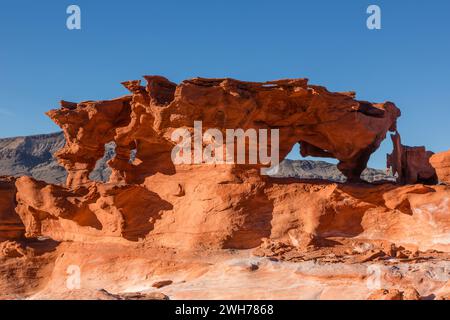 Fragiles formations de grès aztèques érodées dans Little Finland, Gold Butte National Monument, Nevada. Banque D'Images