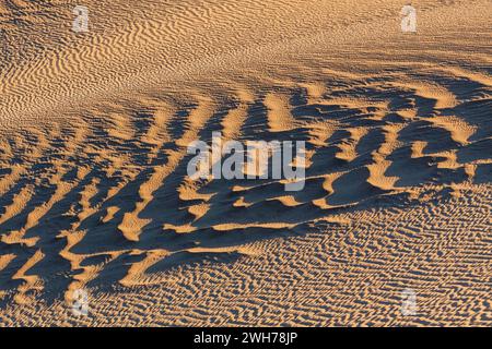 Motifs d'ondulation dans les dunes de sable Mesquite Flat près de Stovepipe Wells dans le désert de Mojave dans le parc national de la Vallée de la mort, Californie. Banque D'Images