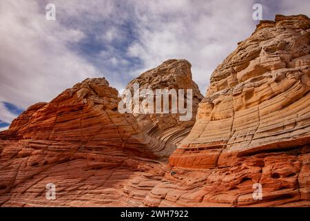 Grès Navajo érodé coloré dans la White Pocket Recreation Area, Vermilion Cliffs National Monument, Arizona. Déformation plastique et Cross-bedd Banque D'Images