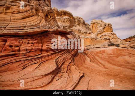 Grès Navajo érodé coloré dans la White Pocket Recreation Area, Vermilion Cliffs National Monument, Arizona. Déformation plastique et Cross-bedd Banque D'Images