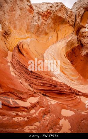 Grès Navajo érodé coloré dans la White Pocket Recreation Area, Vermilion Cliffs National Monument, Arizona. La déformation plastique est illustrée ici. Banque D'Images