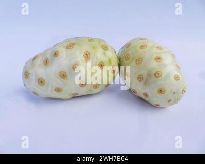 Deux graines de fruits noni ou morinda isolées sur fond blanc Banque D'Images