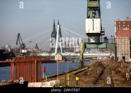 Anciennes grues dans le port du Rhin dans le quartier Deutz, un nouveau quartier urbain sera construit ici dans les prochaines années, en arrière-plan la cathédrale an Banque D'Images