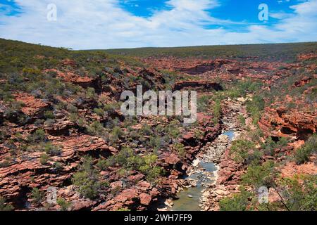 Vue sur le canyon de grès rouge de la rivière Murchison depuis le belvédère Z Bend, parc national de Kalbarri, Australie occidentale Banque D'Images