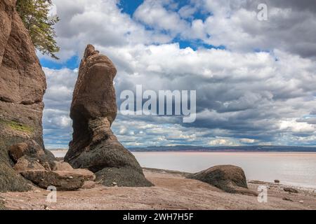 Les formations rocheuses en forme de Hopewell Rocks, baie de Fundy, au Nouveau-Brunswick. L'extrême amplitude des marées de la baie les rend accessibles qu'à de faibles tid Banque D'Images