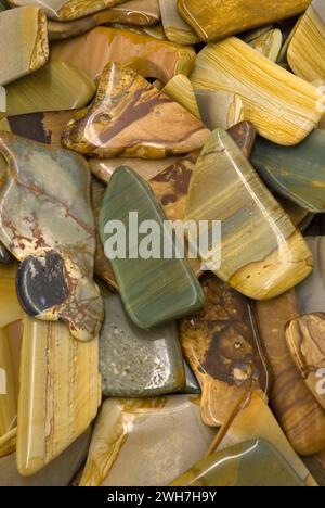 Pièces d'agate polie, Willamette Agate & Mineral Society Rock et Gemmes, Polk County Fairgrounds, Oregon Banque D'Images